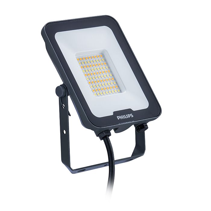 Philips Ledinaire 30W Symmetrical LED Floodlight CCT Selectable 